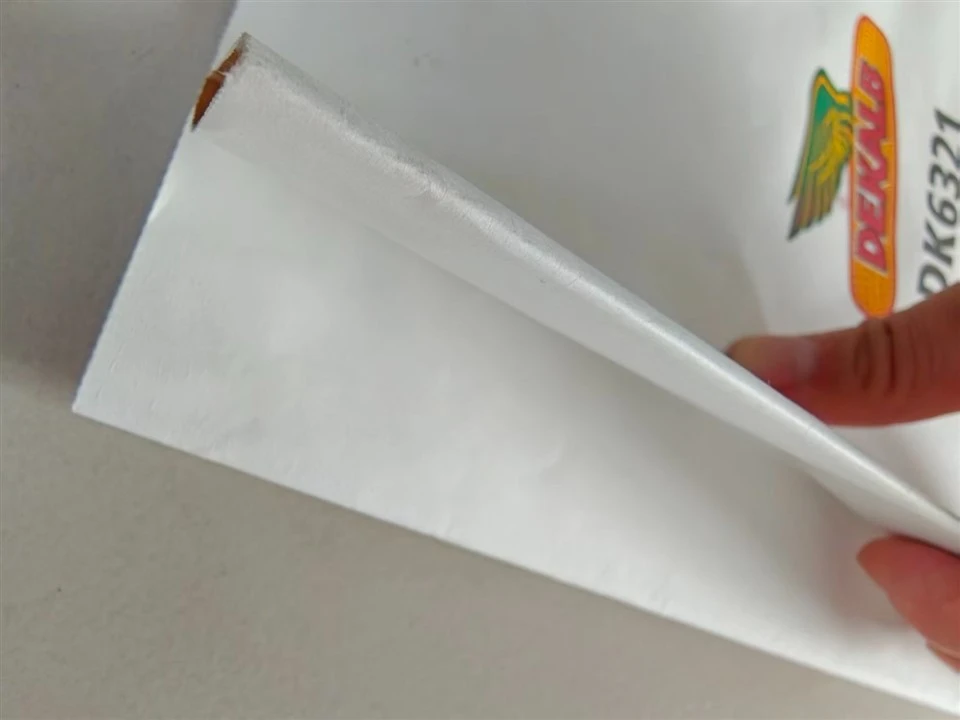 Open‑mouth Block‑bottom Kraft Paper Bag factory